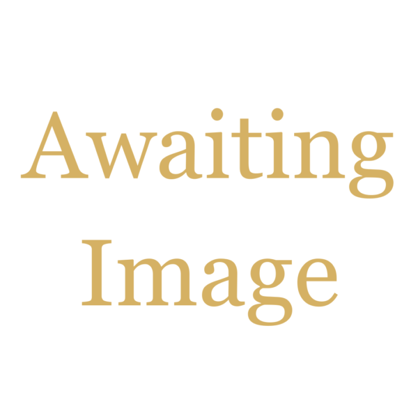 Image saying Awaiting Image